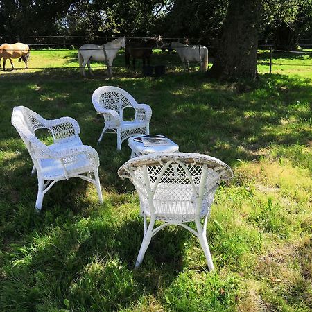 La Marquise Penchee Bed & Breakfast Orsennes Exterior photo